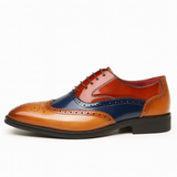 Winston | Erbe Brogues – Gemischt
