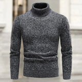 Rikiel - Rollkragenpullover für mühelose Eleganz – Grau