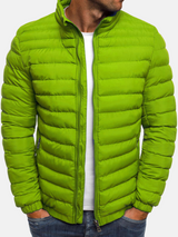 Herren Stehkragen Übergangsjacke – Grün
