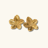Allysa Blume Gold-Ohrringe – Gelbgold