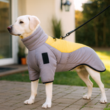 PawEase – Hundejacke mit verstellbarer Passform und integriertem Geschirr – Grau Gelb