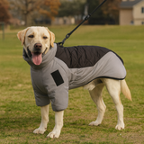 PawEase – Hundejacke mit verstellbarer Passform und integriertem Geschirr – Grau Schwarz