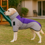 PawEase – Hundejacke mit verstellbarer Passform und integriertem Geschirr – Grau Violett