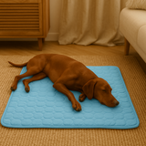Innovative Kühlmatte für Hunde (4-fache Kühlleistung) – ChillComfort – Hellblau
