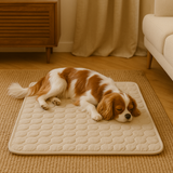 Innovative Kühlmatte für Hunde (4-fache Kühlleistung) – ChillComfort – Beige/Braun