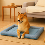 Kühlmatte für Haustiere für den Sommer – ChillPaws – Blau