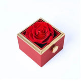 EndloseRose™ Unsterblicher Blumenschatz – Klassisches Rot