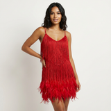 Glamouröses Pailletten-Feder-Cocktailkleid – Rot