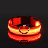 Hundehalsband aus Nylon mit LED-Beleuchtung für mehr Sicherheit bei Nacht, leuchtet im Dunkeln – Rot