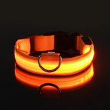 Hundehalsband aus Nylon mit LED-Beleuchtung für mehr Sicherheit bei Nacht, leuchtet im Dunkeln – Orange