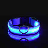 Hundehalsband aus Nylon mit LED-Beleuchtung für mehr Sicherheit bei Nacht, leuchtet im Dunkeln – Blau