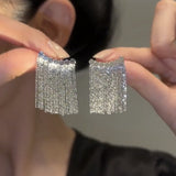 Lange Ohrringe mit geschwungenem Stab und Quaste – Silber
