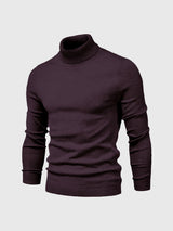 Schmal Geschnittener Rollkragenpullover Für Herren - Dario – Lila