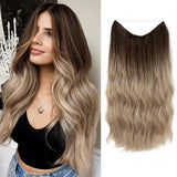 GlamSchleier™ Sofortige Haartransformation – Braun zu Aschblond