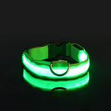 Hundehalsband aus Nylon mit LED-Beleuchtung für mehr Sicherheit bei Nacht, leuchtet im Dunkeln – Grün