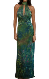 Damen Maxikleid mit Halterneck, Rückenausschnitt und Druckmuster – Grün