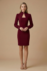 Damen Mini Kleid mit langen Ärmeln, Stehkragen und Ausschnittdetail – Dunkelrot