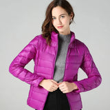 Damen Steppjacke mit Reißverschluss – Lila