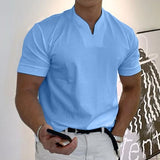 Herren Stehkragen Kurzarm Poloshirt – Blau