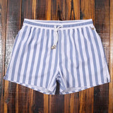 Gestreifte Herren Badeshorts - Modisch und bequem – Blau - Weiß